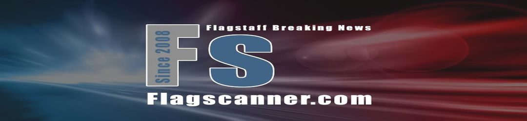 FlagScanner